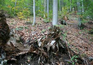 monitorovacia plocha